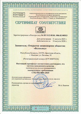 ISO 9001