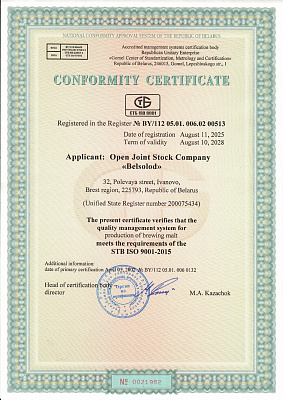 ISO 9001 eng