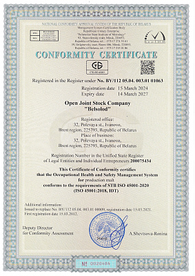 ISO 45001 eng
